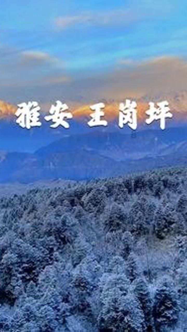异形：隔离