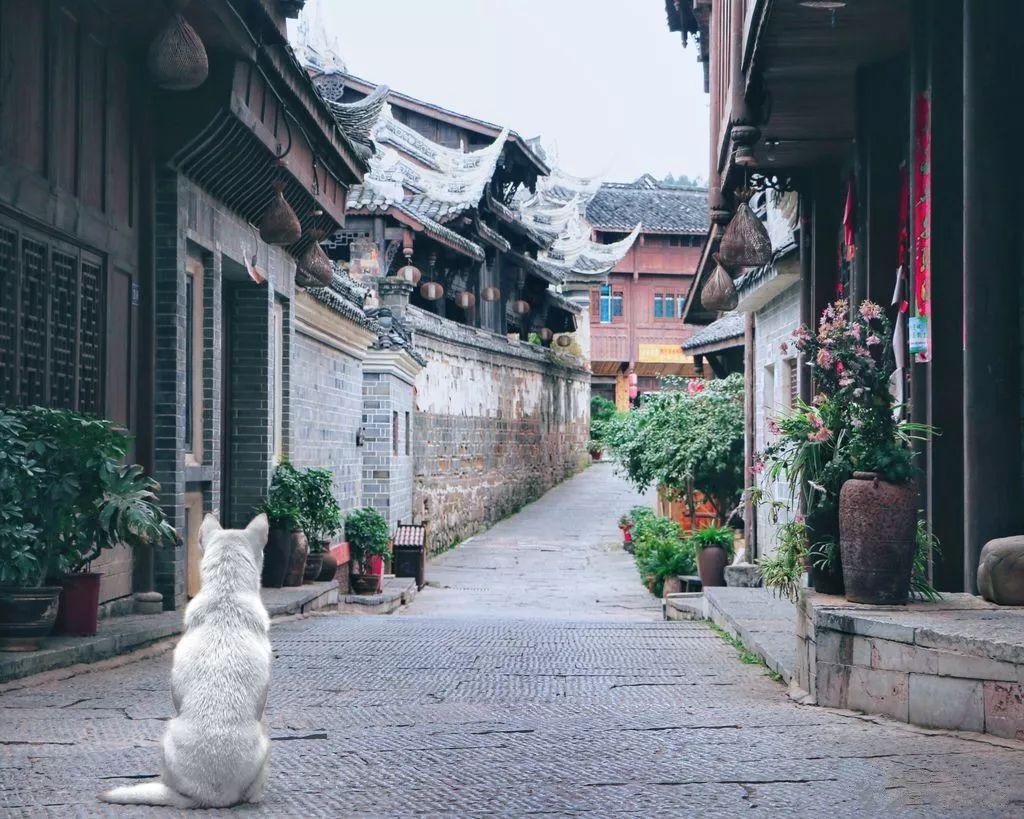 何小鹏称我们处在一个最好的时代 电车将迎来黄金五年